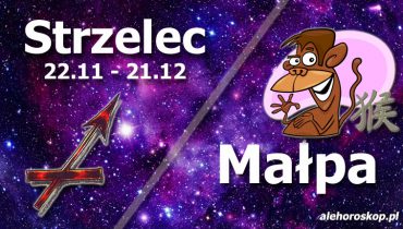 podwójna astrologia strzelec małpa