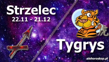 podwójna astrologia strzelec tygrys