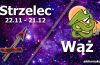 podwójna astrologia strzelec wąż