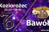 podwójna astrologia koziorożec bawół