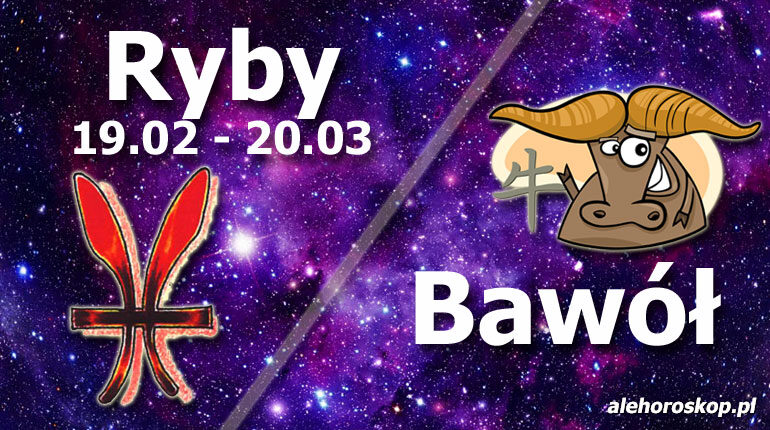 Podwójna astrologia Ryby Bawół - alehoroskop.pl