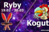Podwójna astrologia Ryby Kogut - alehoroskop.pl