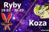 Podwójna astrologia Ryby Koza - alehoroskop.pl