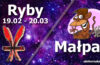 Podwójna astrologia Ryby Małpa - alehoroskop.pl