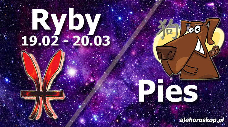 Podwójna astrologia Ryby Pies - alehoroskop.pl