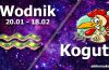 podwójna astrologia wodnik kogut