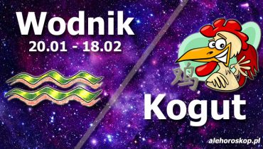 podwójna astrologia wodnik kogut
