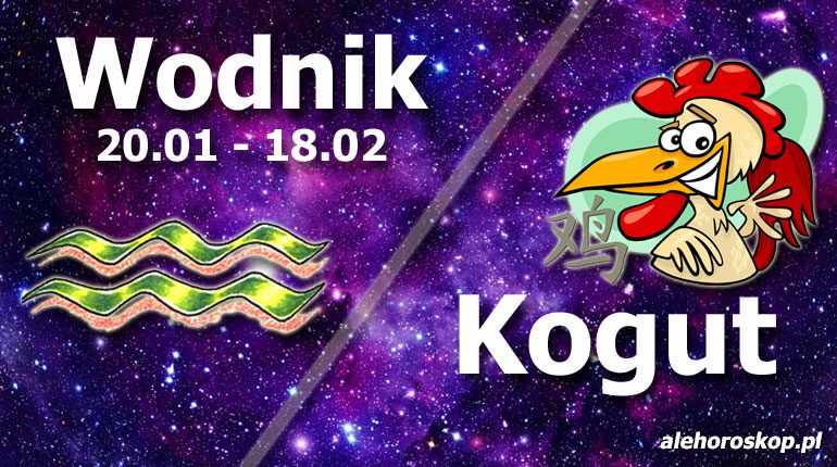 podwójna astrologia wodnik kogut