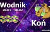 podwójna astrologia wodnik koń