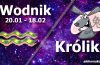 podwójna astrologia wodnik królik