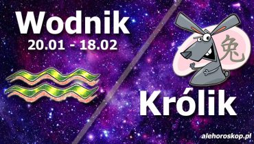 podwójna astrologia wodnik królik
