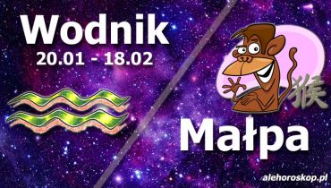 podwójna astrologia wodnik małpa