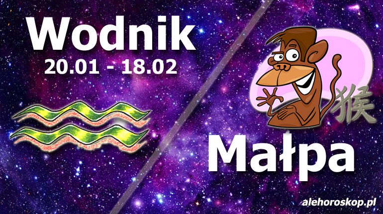 podwójna astrologia wodnik małpa