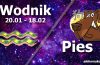 podwójna astrologia wodnik pies