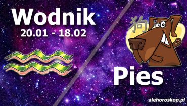 podwójna astrologia wodnik pies