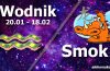 podwójna astrologia wodnik smok