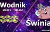 podwójna astrologia wodnik świnia