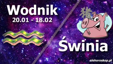 podwójna astrologia wodnik świnia