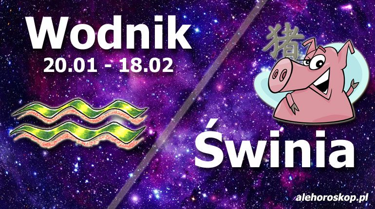 podwójna astrologia wodnik świnia