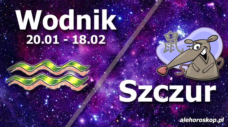 podwójna astrologia wodnik szczur