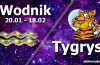 podwójna astrologia wodnik tygrys