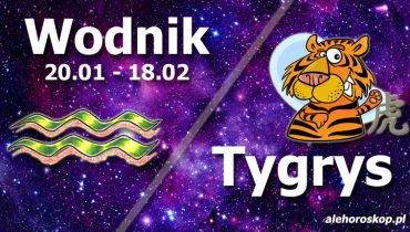 podwójna astrologia wodnik tygrys