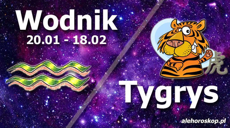 podwójna astrologia wodnik tygrys