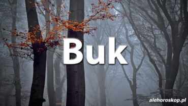 Horoskop celtycki Buk - alehoroskop.pl