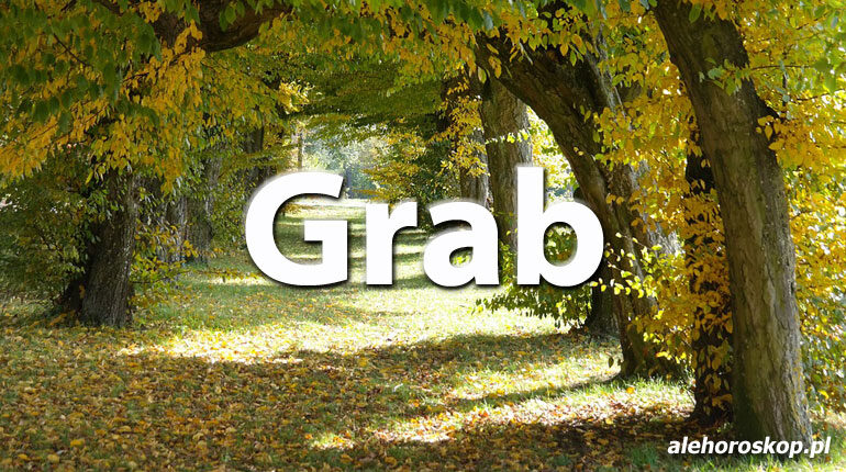 Horoskop celtycki Grab - alehoroskop.pl