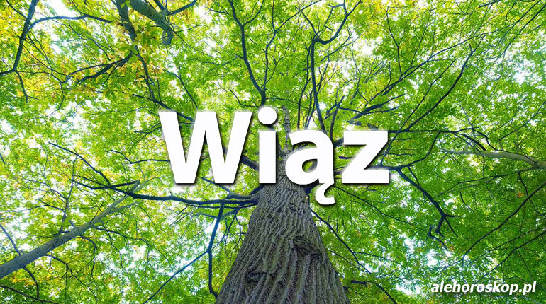 Horoskop celtycki Wiąz - alehoroskop.pl