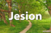 Horoskop celtycki Jesion - alehoroskop.pl