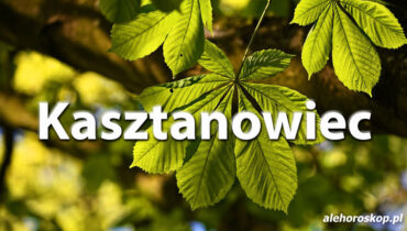 Horoskop celtycki Kasztanowiec - alehoroskop.pl