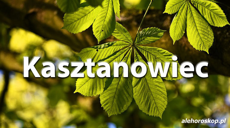 Horoskop celtycki Kasztanowiec - alehoroskop.pl