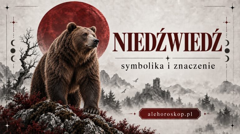 Niedźwiedź – symbolika i znaczenie niedźwiedzia