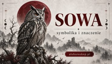 Sowa – symbolika i znaczenie sowy